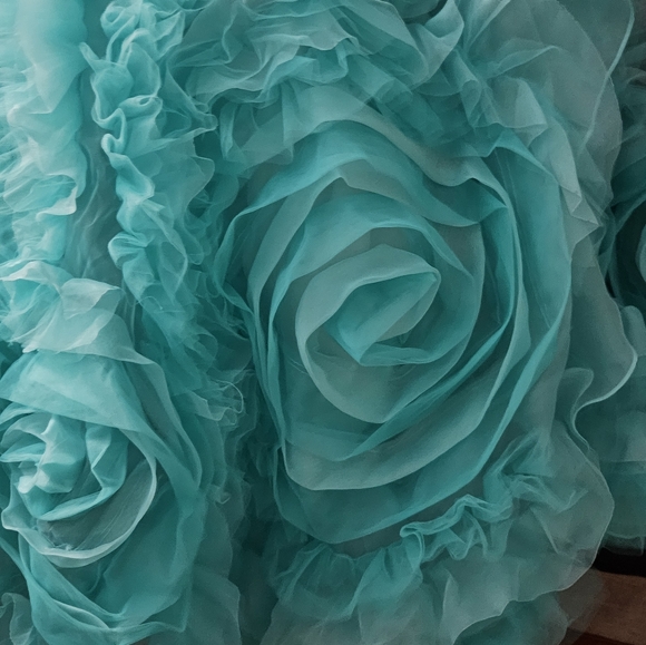 Quiencenera Dress, Prom or Ball Dress - Picture 7 of 14